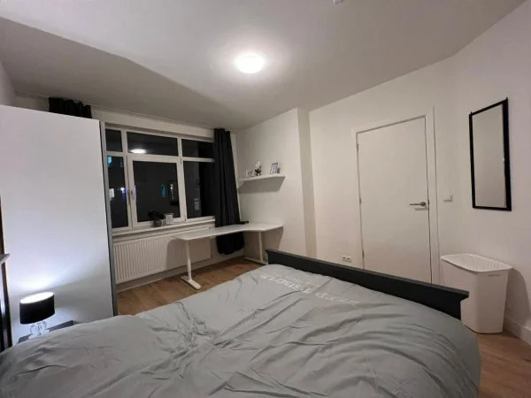 Rental property 5
