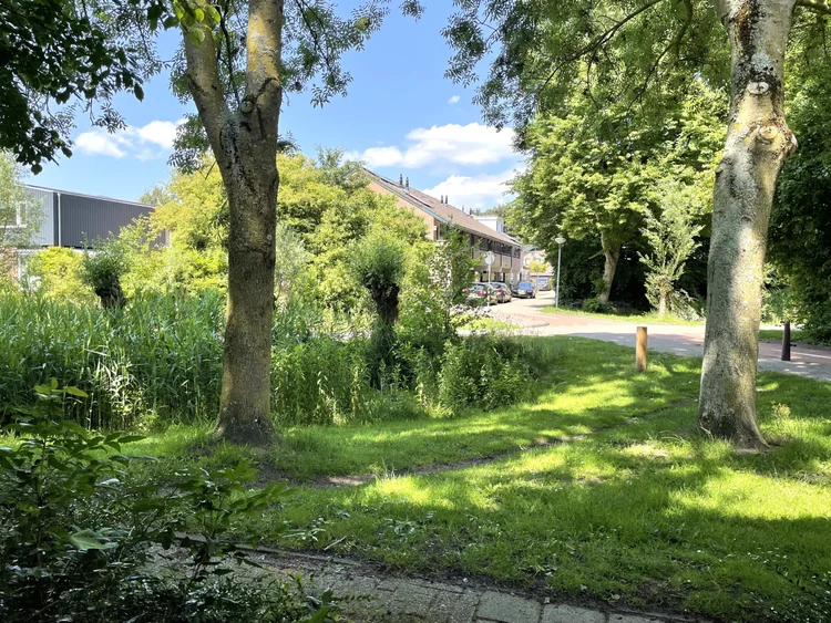 Rental property 5