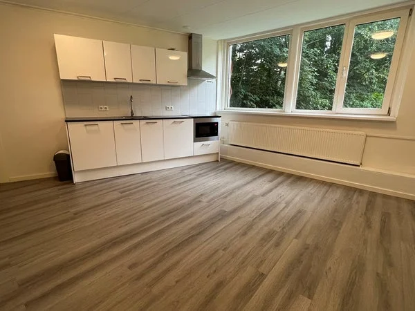 Rental property 5