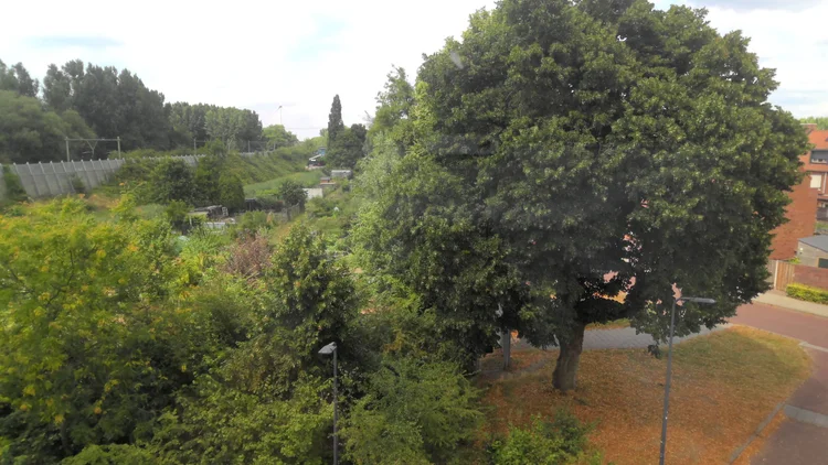 Rental property 5