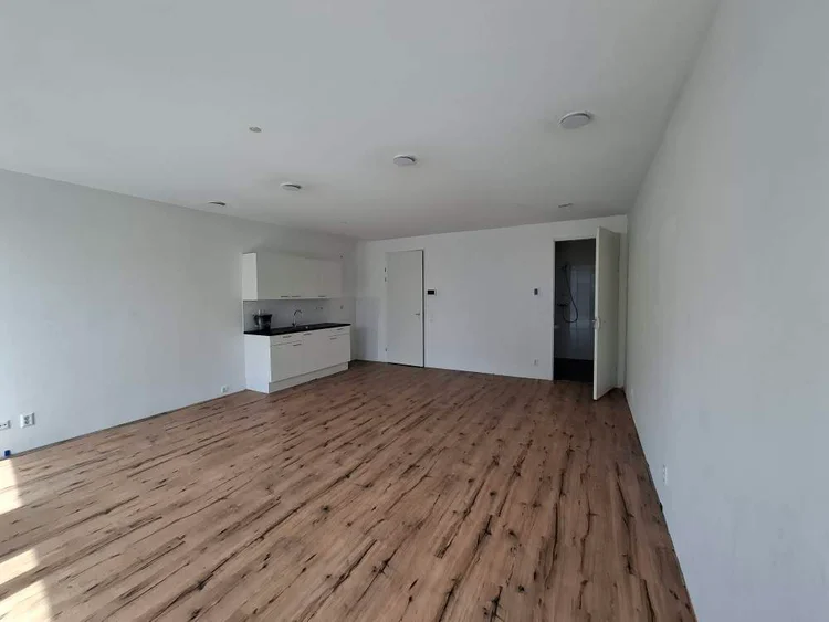 Rental property 5