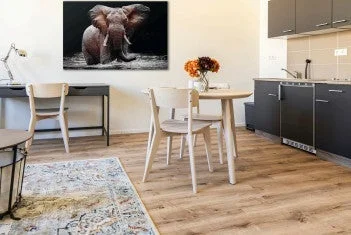 Rental property 5