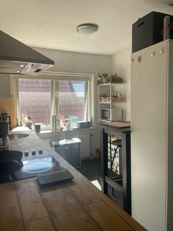 Rental property 5