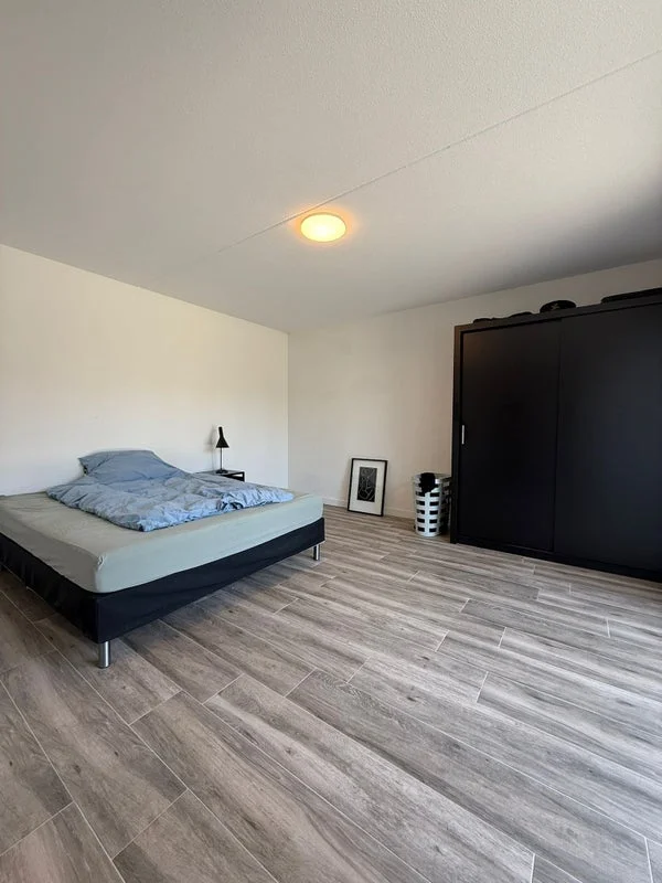 Rental property 5