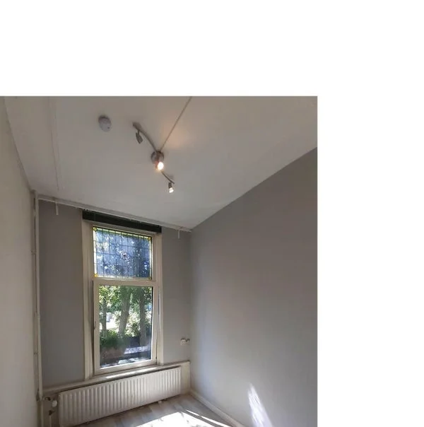 Rental property 5