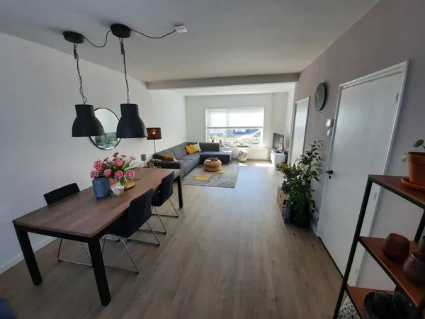 Rental property 5