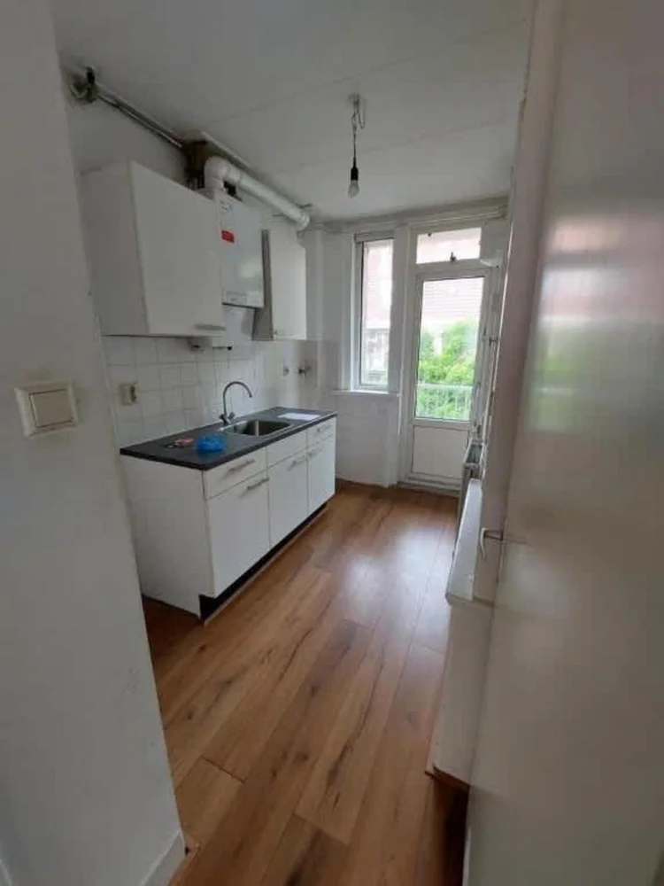 Rental property 5