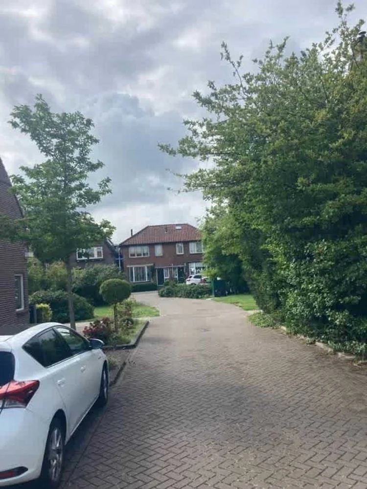 Rental property 5