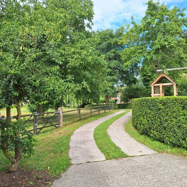 Rental property 5