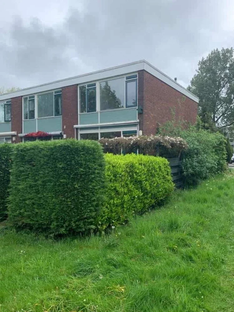 Rental property 5