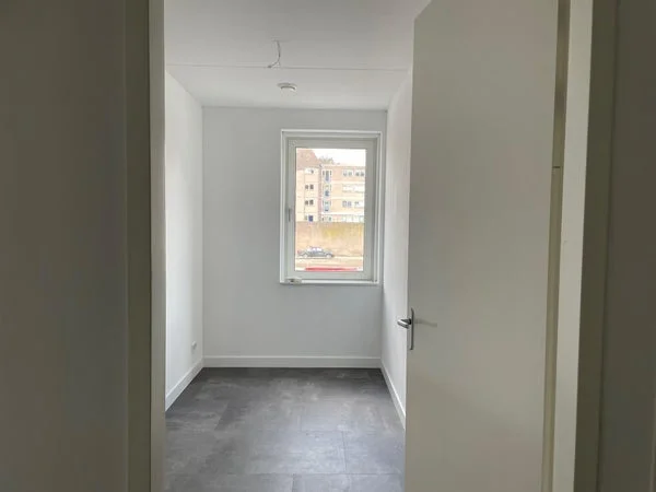 Rental property 5