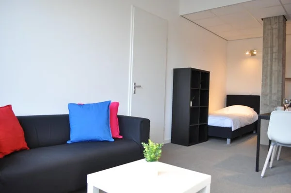 Rental property 5
