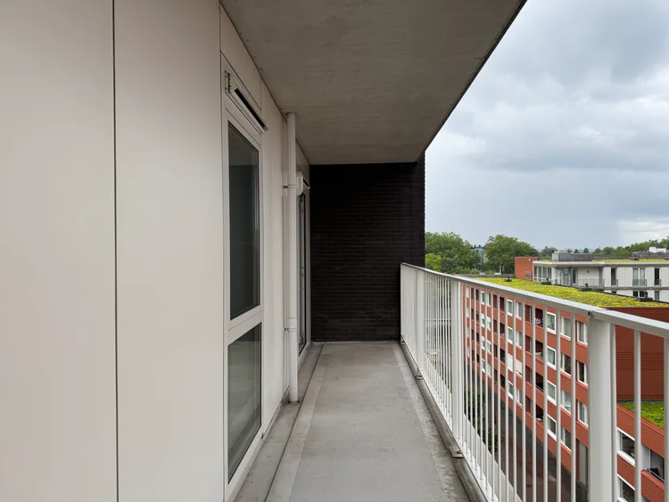 Rental property 5