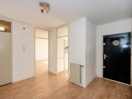 Rental property 5