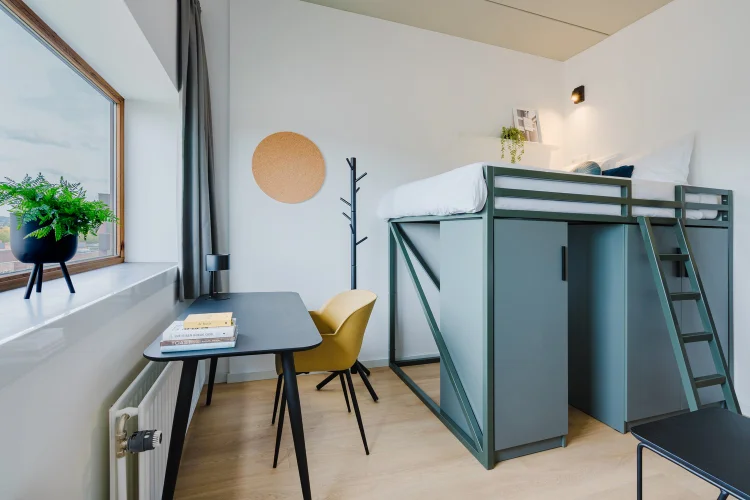 Rental property 5