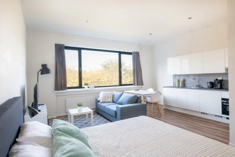 Rental property 5