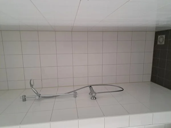 Rental property 5
