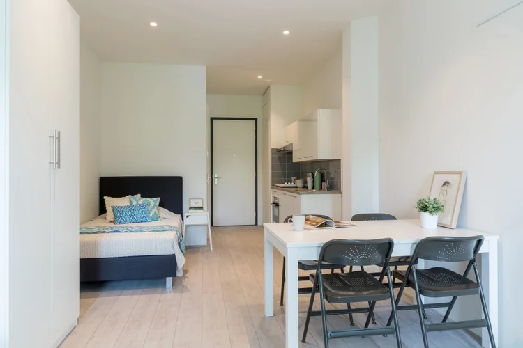 Rental property 5