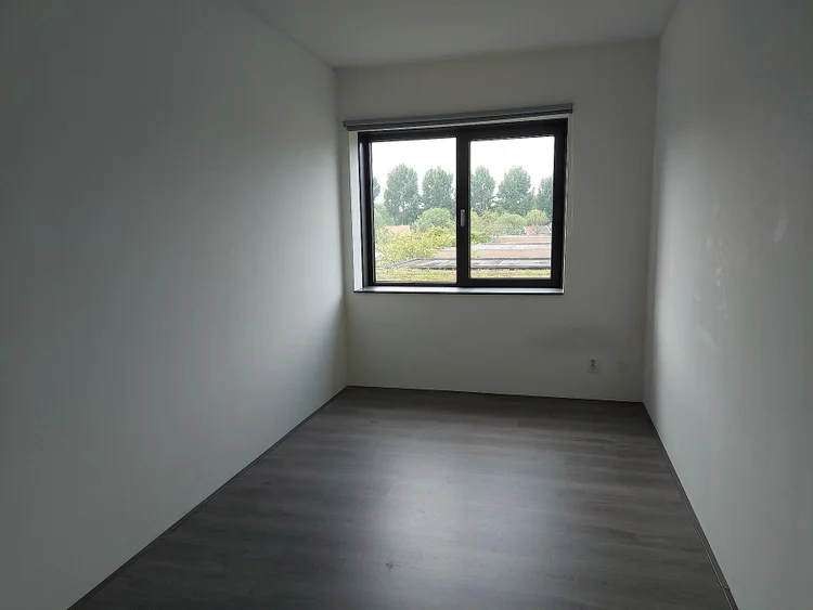 Rental property 5