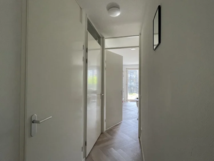 Rental property 5