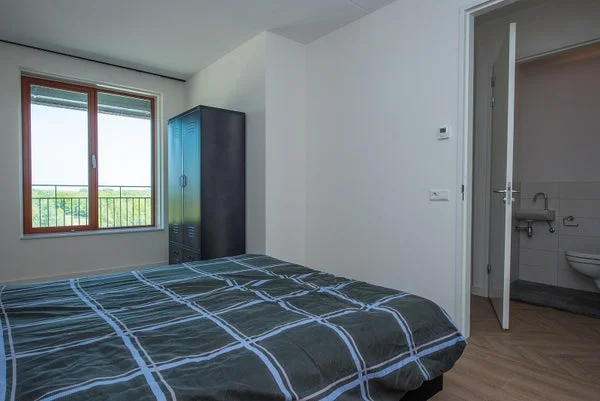 Rental property 5