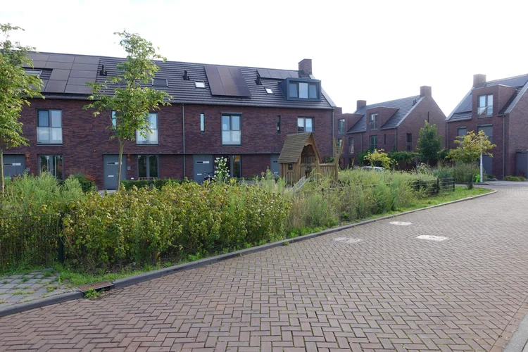 Rental property 5