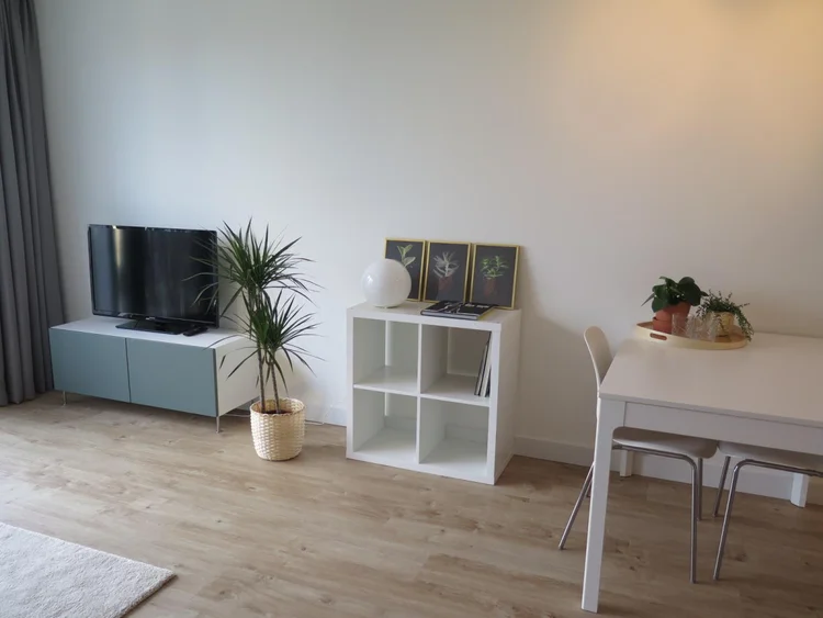 Rental property 5