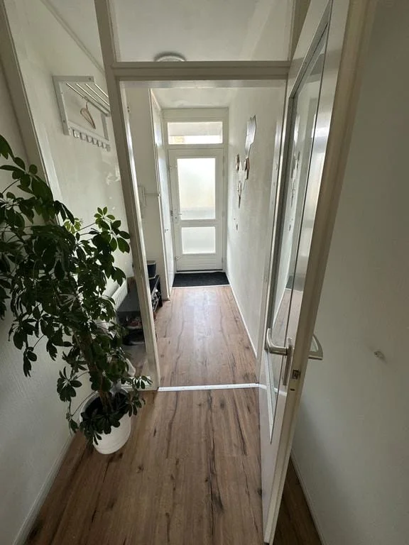 Rental property 5