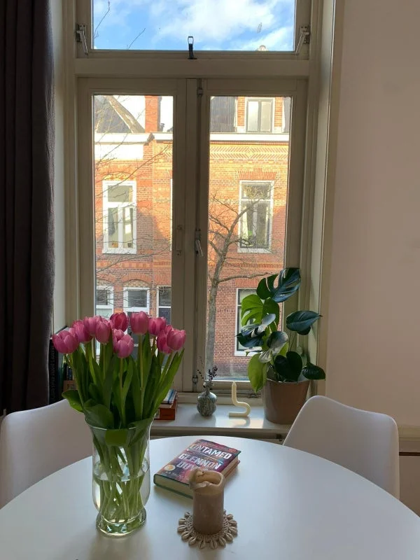 Rental property 5