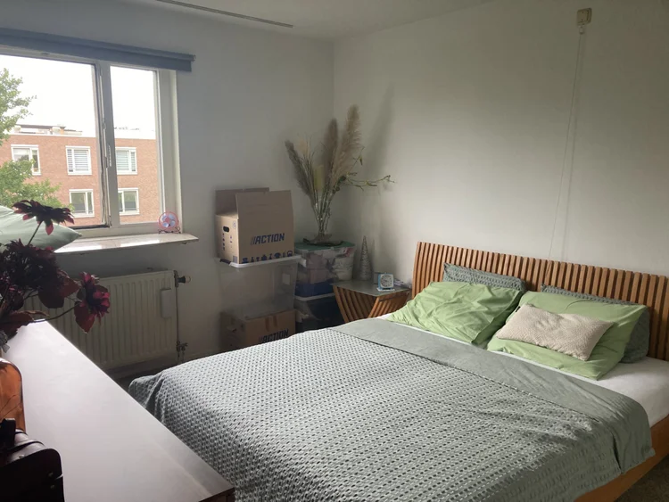 Rental property 5