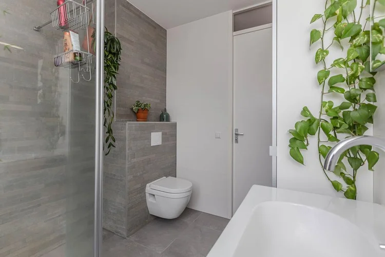 Rental property 5