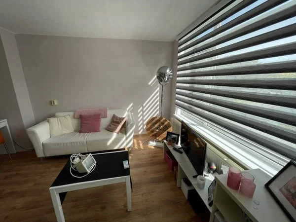 Rental property 5