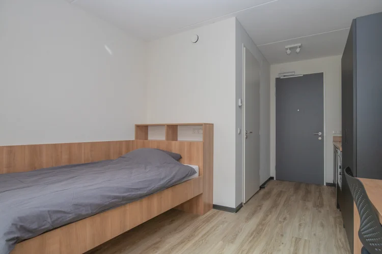 Rental property 5