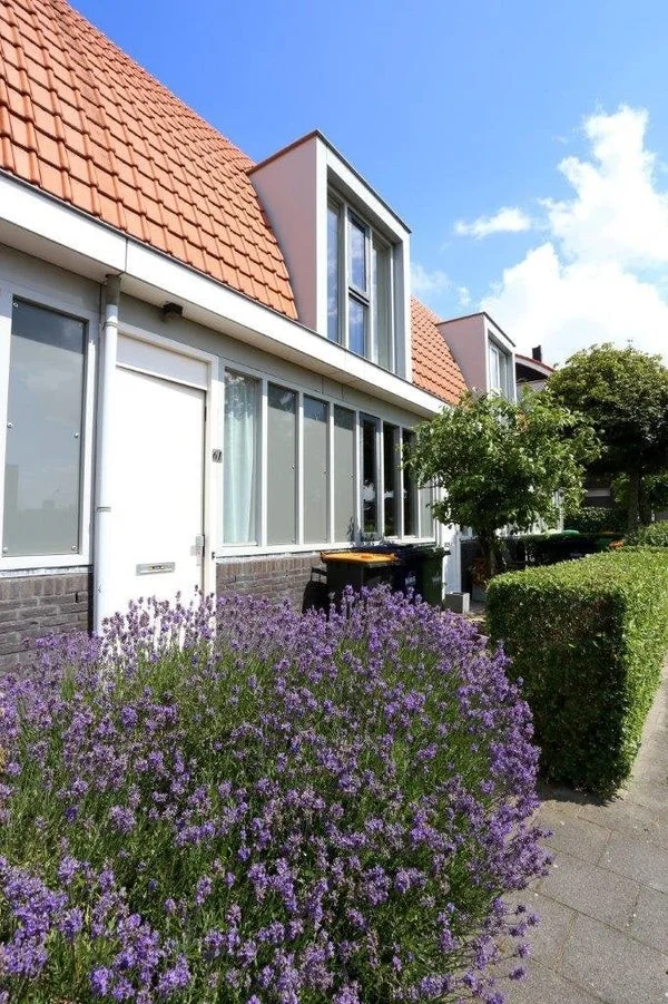 Rental property 5