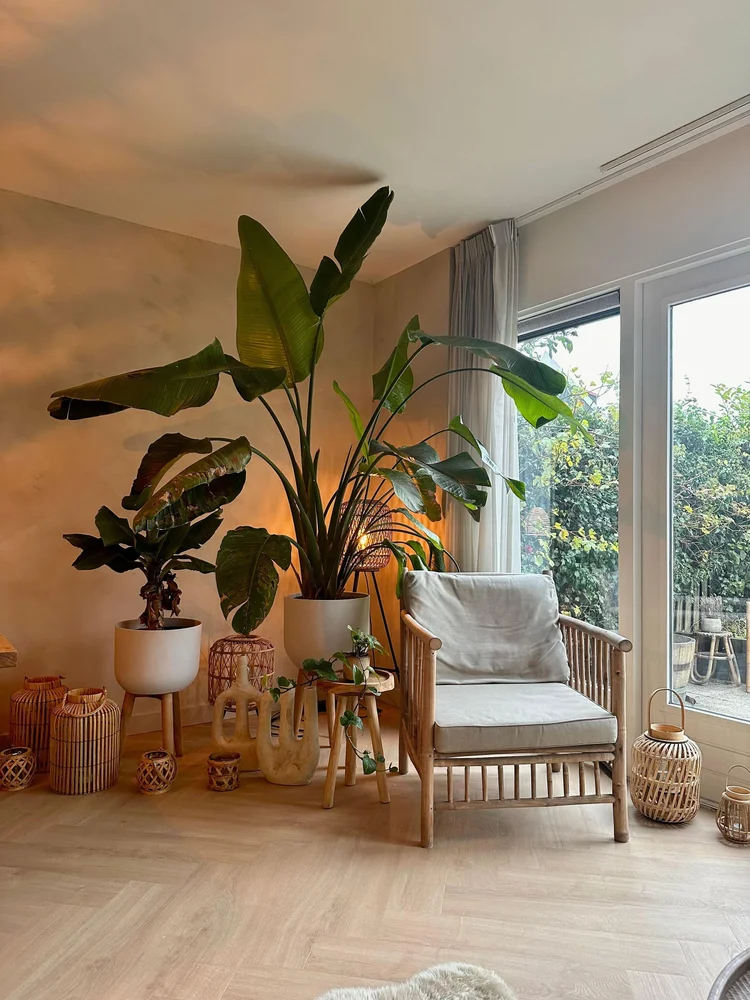 Rental property 5